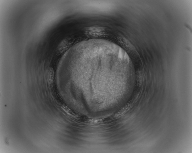 X0000097880760200804041613