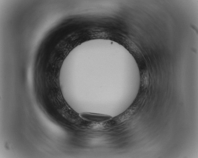 X0000097880764200804041614