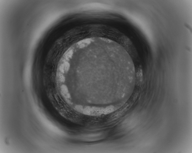 X0000097880765200804041614