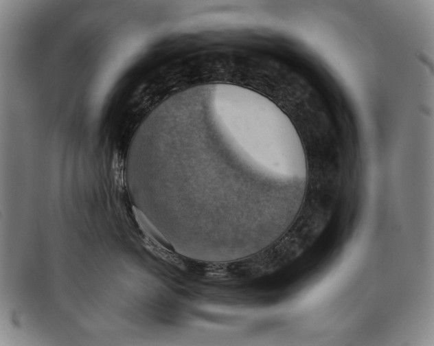 X0000097880766200804041614