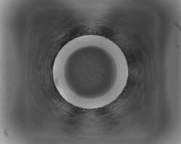 X0000097880769200804041613