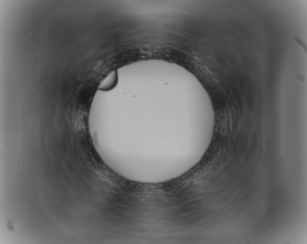 X0000097880770200804041613