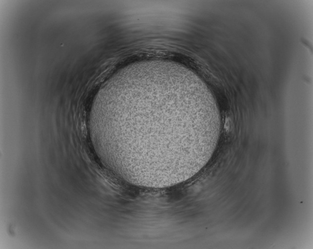 X0000097880771200804041613