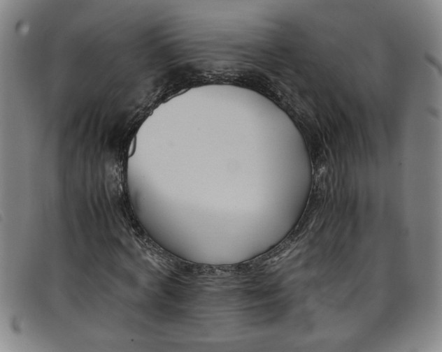 X0000097880772200804041613