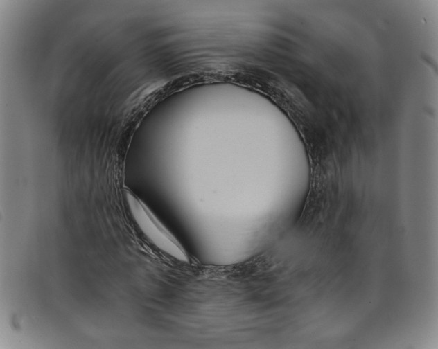 X0000097880773200804041613