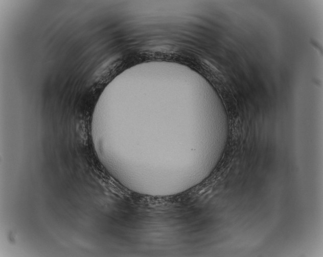 X0000097880774200804041613