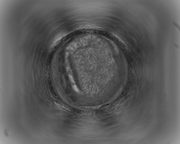 X0000097880775200804041613