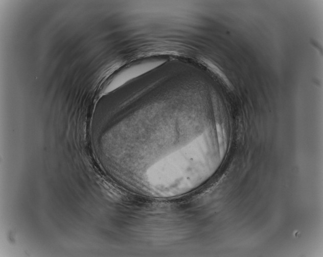 X0000097880777200804041613