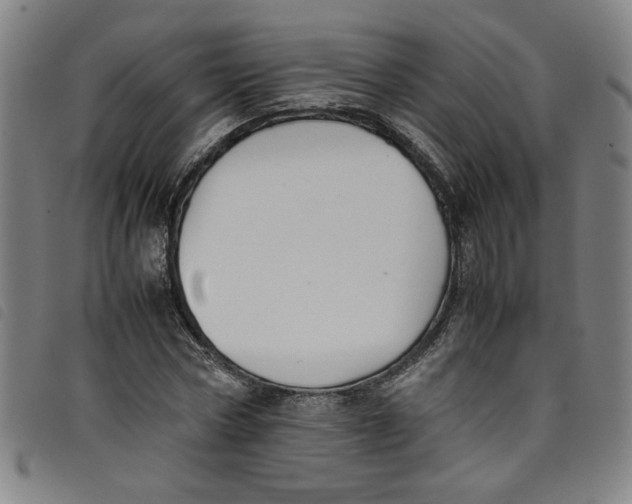 X0000097880778200804041613