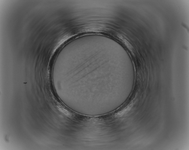 X0000097880779200804041613