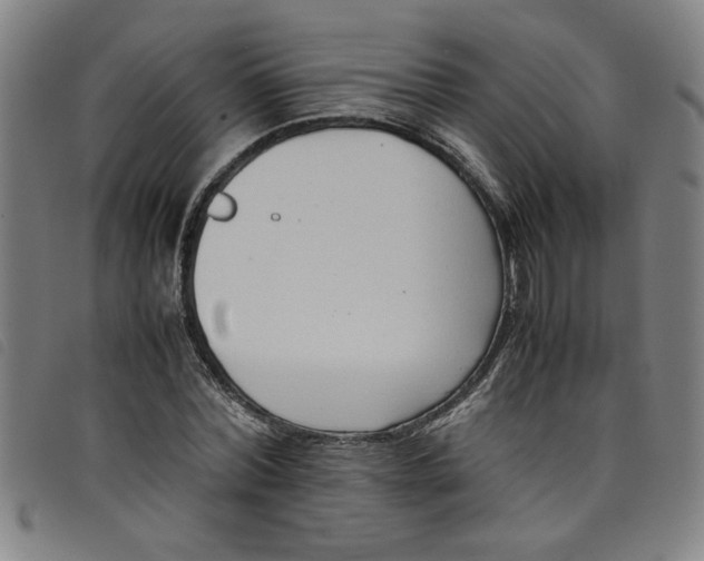 X0000097880780200804041613