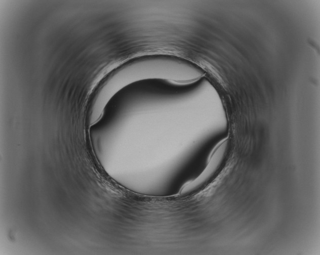 X0000097880781200804041613