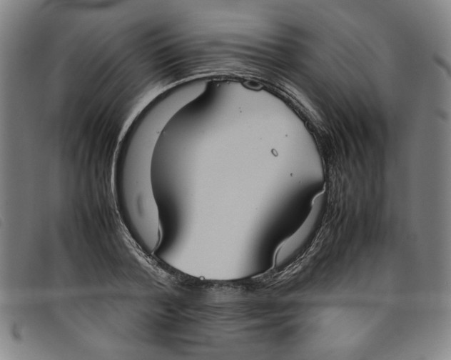 X0000097880788200804041613