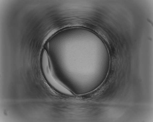 X0000097880789200804041613