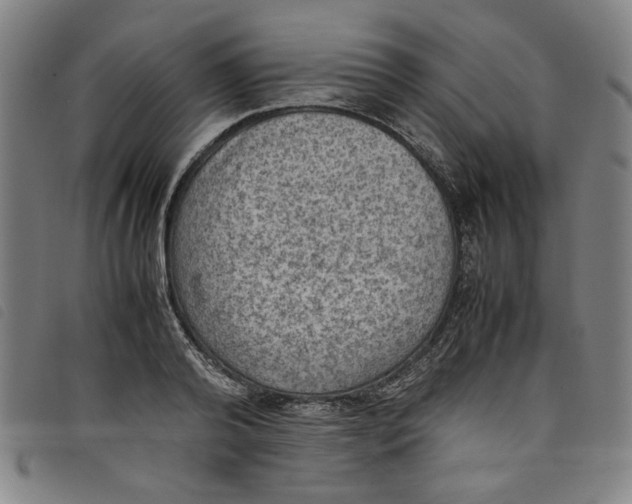 X0000097880792200804041612