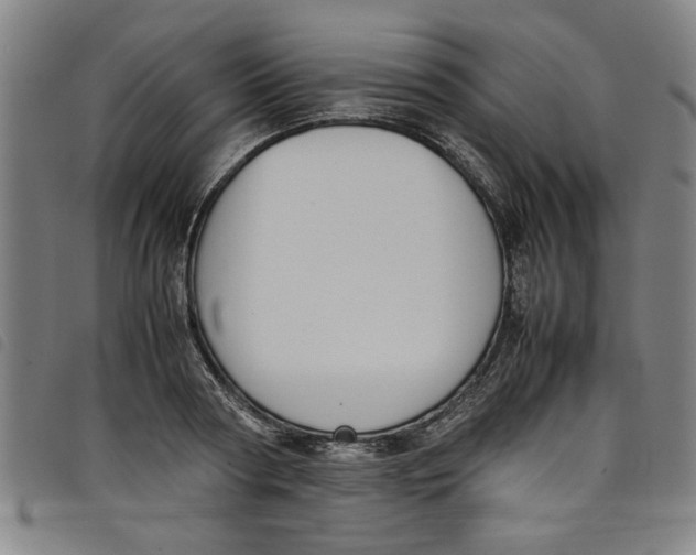 X0000097880794200804041612