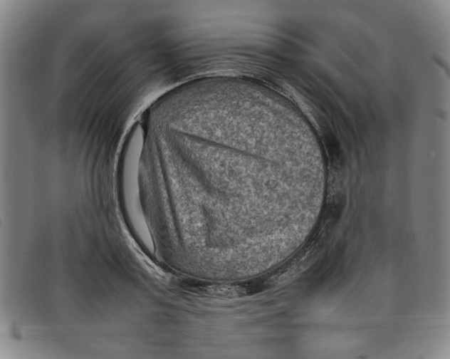 X0000097880795200804041612