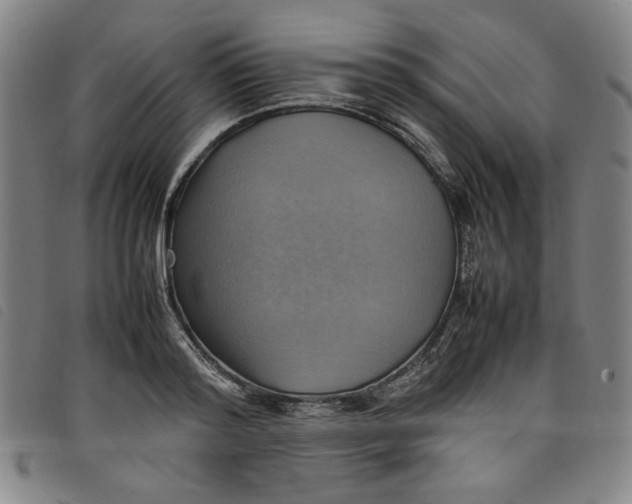 X0000097880796200804041612