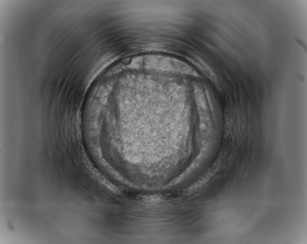 X0000097880798200804041612