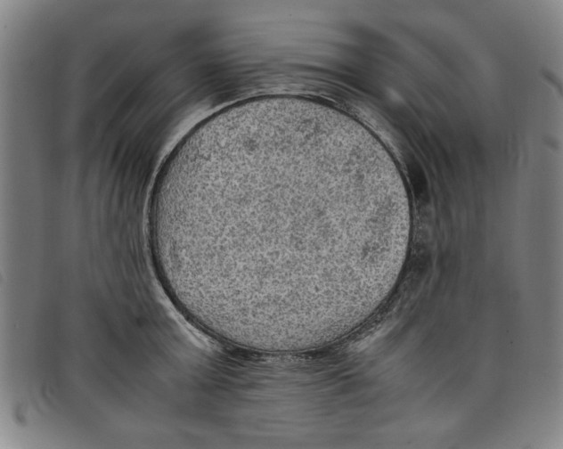 X0000097880803200804041612