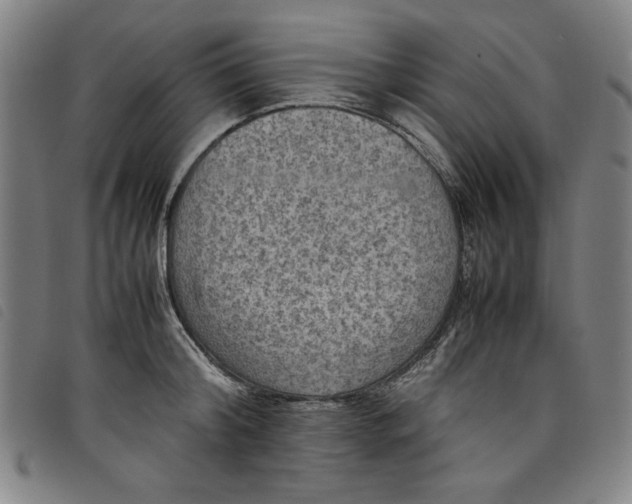 X0000097880804200804041612