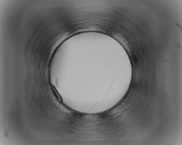 X0000097880805200804041612