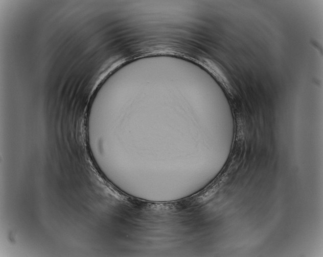 X0000097880806200804041612