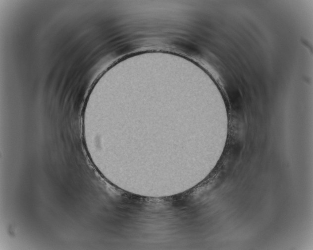 X0000097880807200804041612