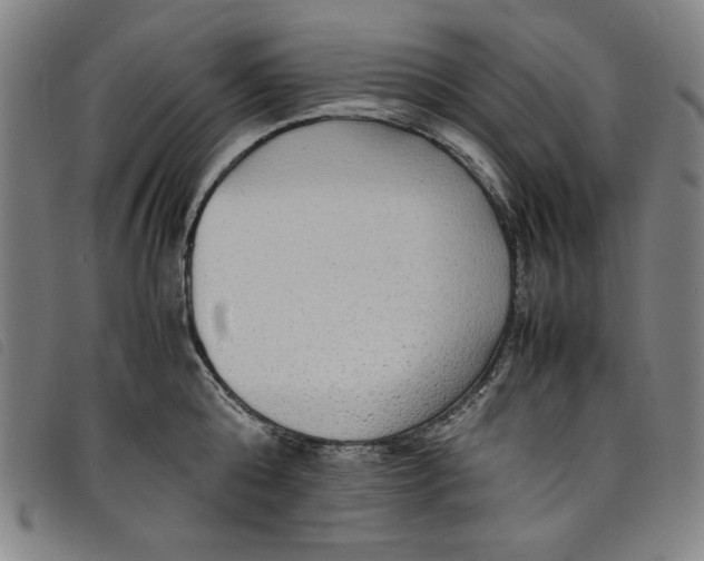 X0000097880808200804041612