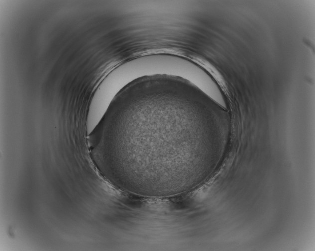 X0000097880809200804041612