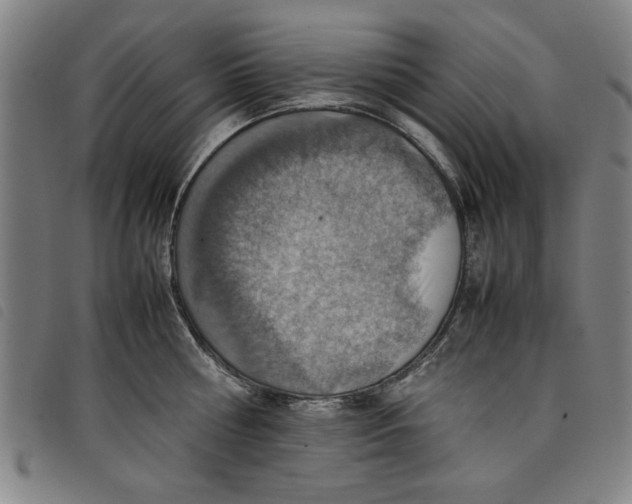 X0000097880810200804041612