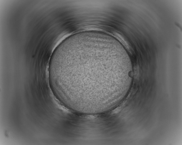 X0000097880814200804041612