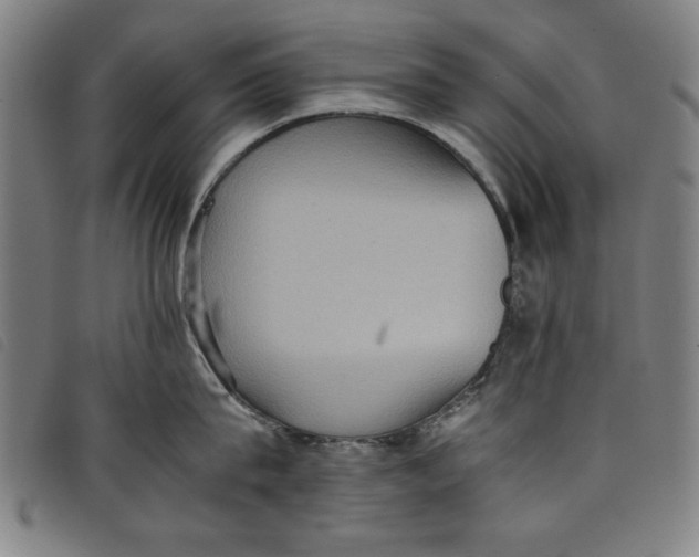 X0000097880815200804041612