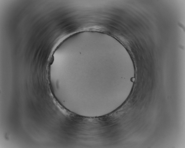 X0000097880816200804041612