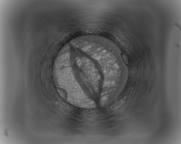 X0000097880817200804041611