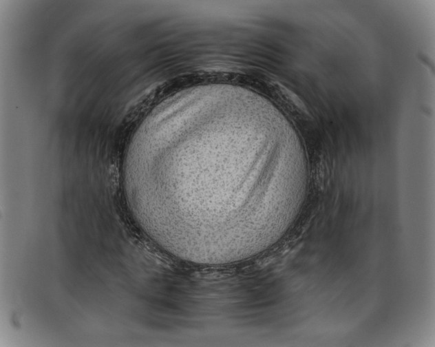 X0000097880821200804041612