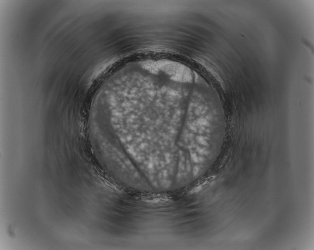 X0000097880823200804041612