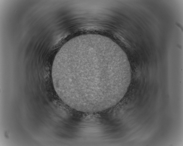 X0000097880824200804041612