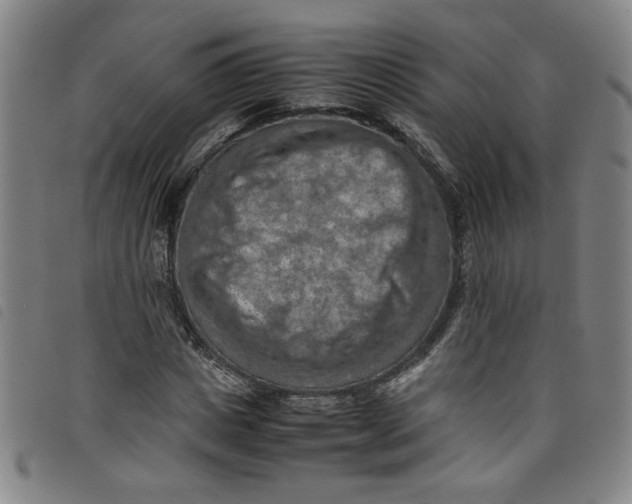 X0000097880825200804041612