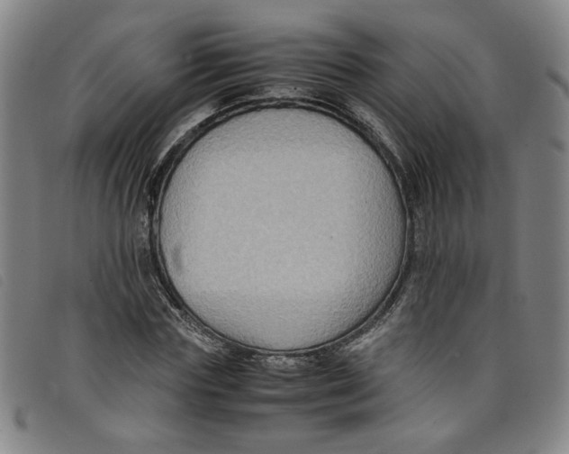 X0000097880827200804041612