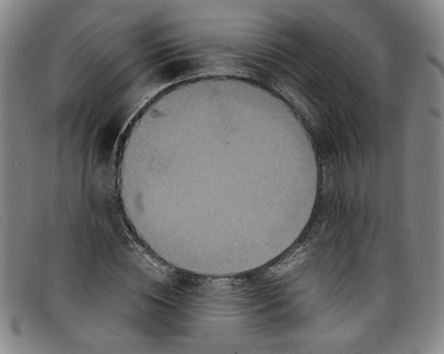 X0000097880828200804041612