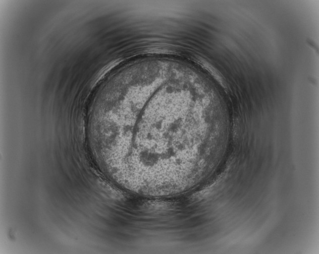 X0000097880829200804041612