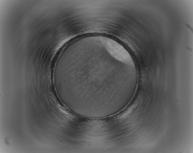 X0000097880830200804041612