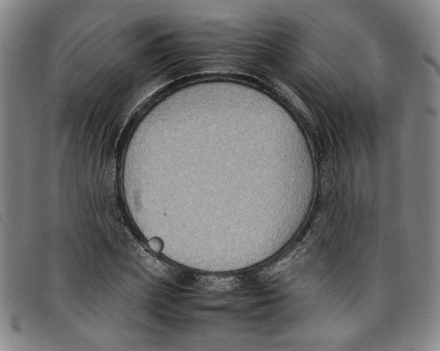 X0000097880831200804041612