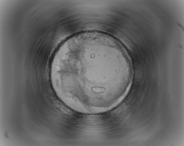 X0000097880832200804041612