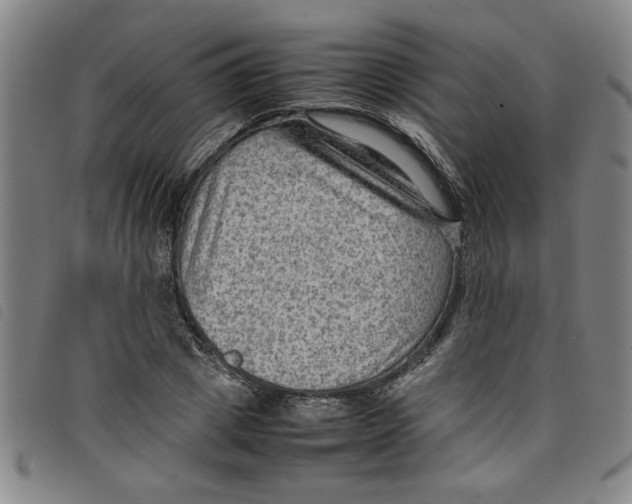 X0000097880833200804041612