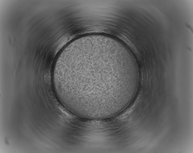 X0000097880834200804041612