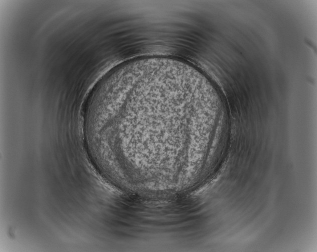 X0000097880835200804041612