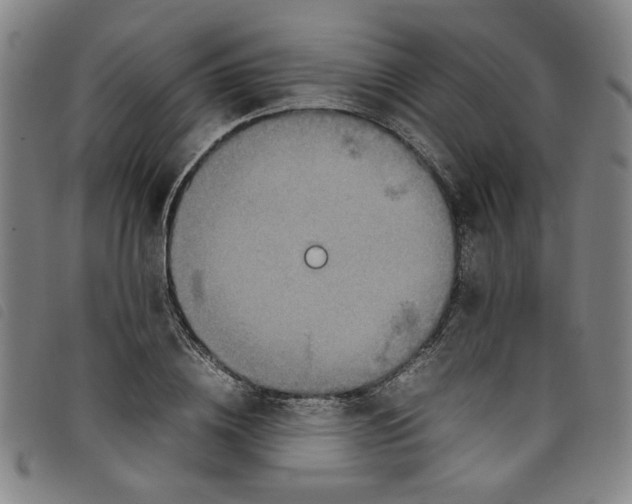 X0000097880836200804041612