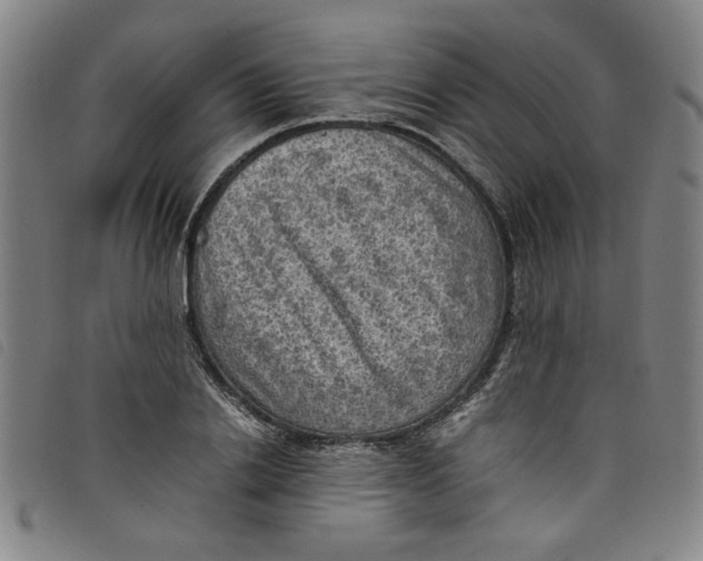 X0000097880838200804041612